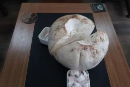 Doğa’da Yaşanan İlginç Anlar