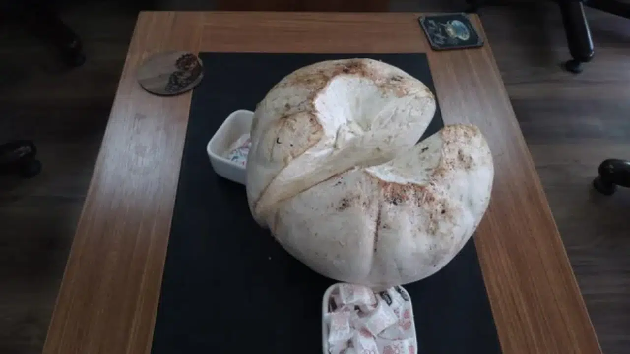 Doğa’da Yaşanan İlginç Anlar