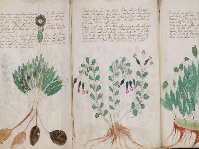 Voynich El Yazması Tarihin Çözemediği Kitap