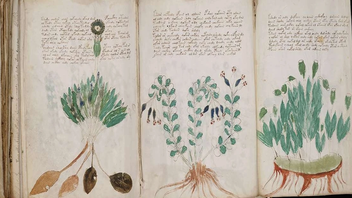 Voynich El Yazması Tarihin Çözemediği Kitap